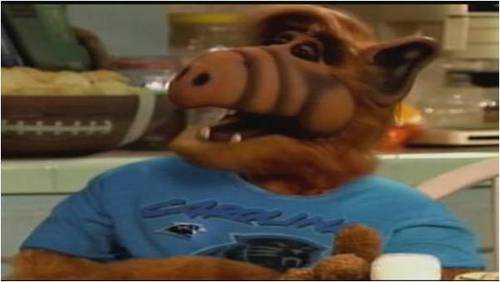 ScottEdmo's profile picture. Carolina Panthers, Charlotte Hornets, Carolina Hurricanes, Tennessee Volunteers and Minnesota Twins fan...livin' in CT!