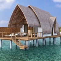 masterking1988 (@masterking1988) 's Twitter Profile