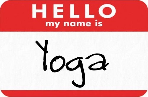 Born and raised in #NYC but now live in #CostaRica! I love #YOGA , #Hoopdance, 80's metal and #housemusic, oh and #pussycats! #Meow and #Namaste