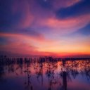 Jackson Singh - @Jackson78768236 - Twitter