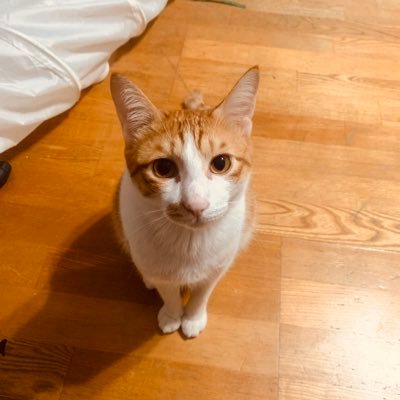 udvbPf4s4KiARJ5's profile picture. 我是個計程車司機，有需要搭車，或旅遊包車的都能找我，價格甜甜