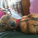 Cameron Sell - @Cameron_Sell - Twitter