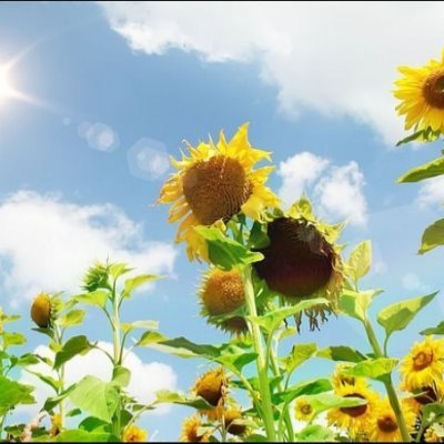 BadriahMuhtar's profile picture. Daily worker