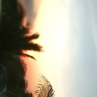 🐒🐒🐒🐒 (@ajuuuu_11) 's Twitter Profile