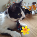 Deirdre Donaghy - @DonaghyDeirdre - Twitter