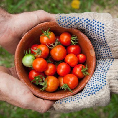 The #Association For #UrbanFarming is a non-profit #organization that aims to transform urban areas into self-sustaining #food #systems.