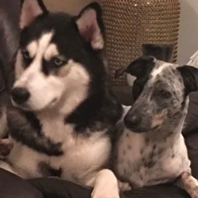 heyitspatsanjur's profile picture. Traveler. I love wine and obsessed with macaroons.