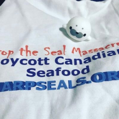 saddlebackseal's profile picture. retweetin’