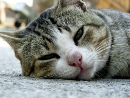 Anrtgd's profile picture. 