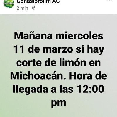 Vicenterramire2's profile picture. andar bien