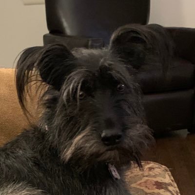 johnnystocks123's profile picture. ...