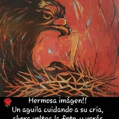 RubenDa44715528's profile picture. mi peso