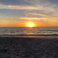 Wayne Cimons (@wjl1987) 's Twitter Profile