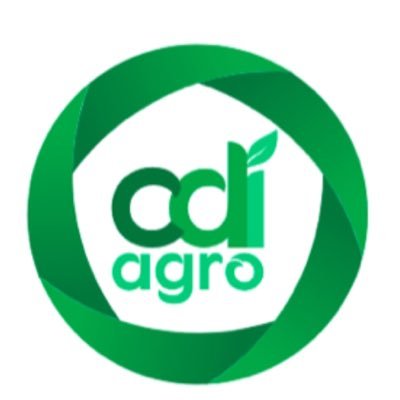 🍀Somos el Cluster de Innovación Agroalimentaria de la Comunidad Valenciana. Impulsamos el desarrollo empresarial y el networking de nuestros asociados.
