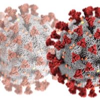 @COVIDWA (Western Australia) (@covidwa) 's Twitter Profile Photo