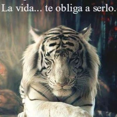 JuanekoG's profile picture. 