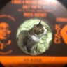 DJsmikich's profile picture. “Vinyl Records Love”というYouTubeをしてます→https://t.co/gicB7dRsti ブラックミュージックを中心としたレコード好きです😌HipHop,R&B,Soul,Funk,Jazz,Rare,Groove,,猫、古着など自然なもの好き。素直と謙虚を心がけて日々精進！