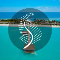 South Palm Resort Maldives (@southpalmrm) 's Twitter Profile Photo South Palm Resort Maldives (@southpalmrm) 's Twitter Profile Photo