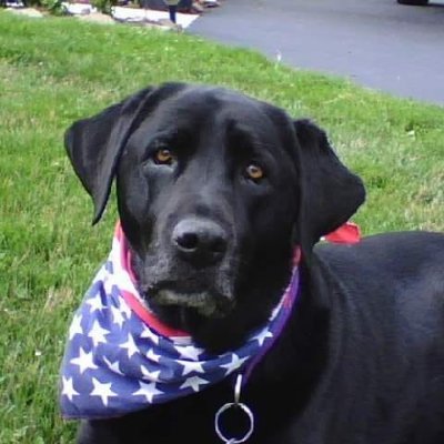 Birdner48646409's profile picture. Keeper of my sanity on this dirt i stroll!