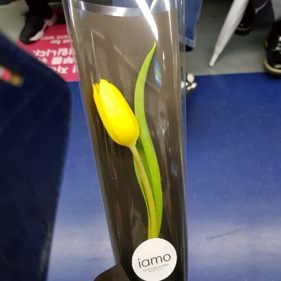 lotus2323's profile picture. 