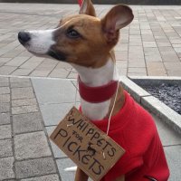 Nicky Hudson (@nicky_hudson) 's Twitter Profile