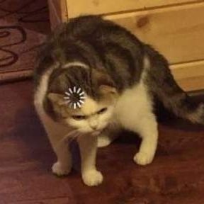 Ibrbkw's profile picture. 