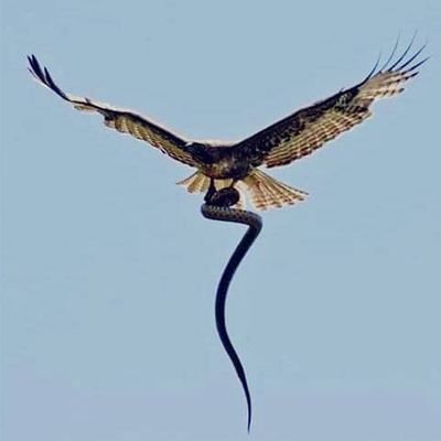 bakarinondi's profile picture. 