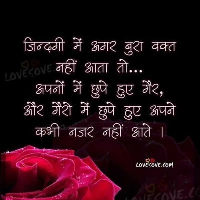 rajhanse2's profile picture. 