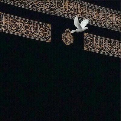 . 🌱 أؤمن أن العطاء سر السعادة | أشارك ما يلهم ويفيد | رحلتي مع الخير مستمرة