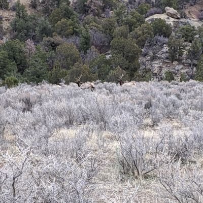 Adren39063555's profile picture. 