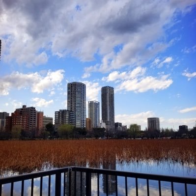 Minnanotomodati's profile picture. 마음만 먹으면 나는 할 수 있어 너도 할 수 있고 우리모두가 할 수 있는 거야~ 우리는 한민족 이니까. 우리가 행복한건 대한민국이 있기 때문이고.중도진보 합리적 보수는 인정.꼴통보수.미통닭 벽돌입니다.팔로워만 늘리시는분 사절. 노안으로 오타 작렬 이해 바랍니다. 좋아요는 보았다는 의미.