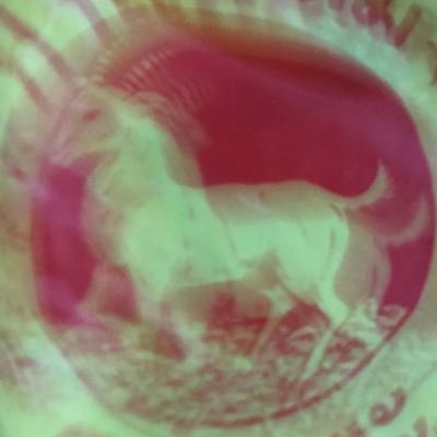 madipnei's profile picture. 