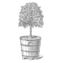 MaisonPapier's profile picture. Classic stationery and paper gifts. Maison de Papier creates unique products with the look and style of luxury goods at a much more affordable price.