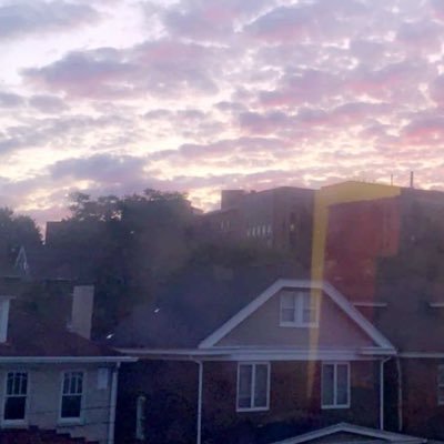 sirenlarry's profile picture. because it rhymes