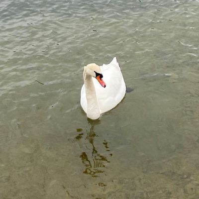 mel_q12's profile picture. Anders gebaut 🗽