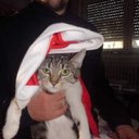 Rene Becker - @ReneBec81413996 - Twitter