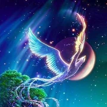 FantasyPhoenix2's profile picture. 