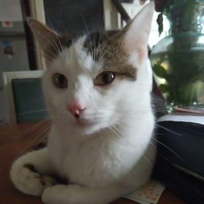 AlistairMarie's profile picture. YEET