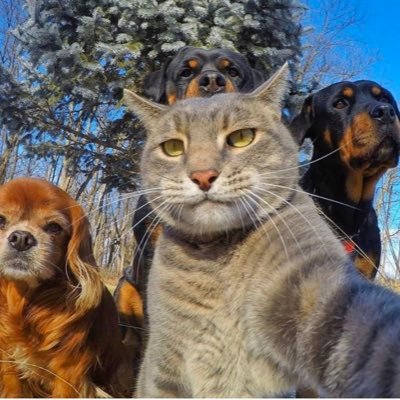 janeanderson42's profile picture. Proud mom/Animal lover/🐈 & 🦮mom/Researcher/Cancer survivor/pro science/MSc - Policy Making