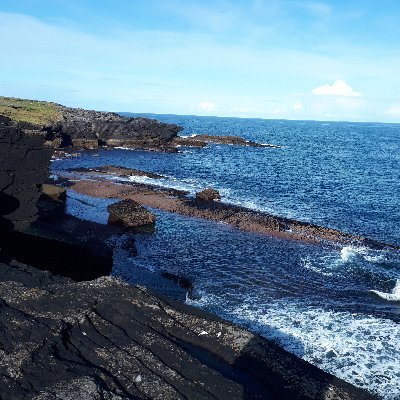 odriscolljoan's profile picture. 