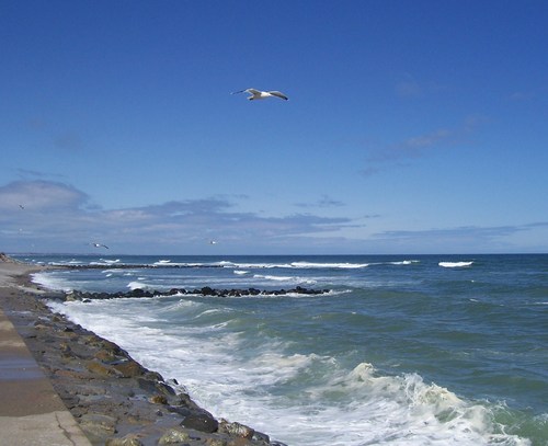 Carolyn0309's profile picture. Broker Owner Compass Realty