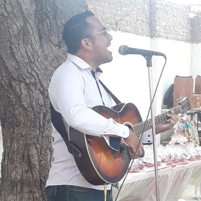 Vnzlano musico estudiante guitarrista cuatrista saxofonista cantante estudiante de ing en sistemas programador as400 ibm ibs servidores idioma ingles spanish