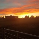 Olivieri Laura - @OlivieriLaura2 - Twitter