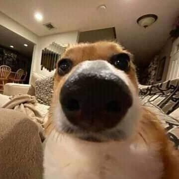 Wishther11's profile picture. 