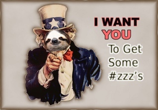 Its_Sloth's profile picture. Sleeping forever next to @its_kindness