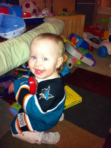 Sharks / Hockey fan!!  

Rush Fan!!!

Computer Geek!!