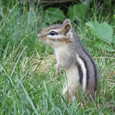 Katestap1's profile picture. 