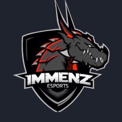 Immenz academy is competing in VGP L3 North (ps4)