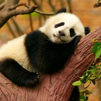 EmmyGodsguy's profile picture. BKQBXT9H