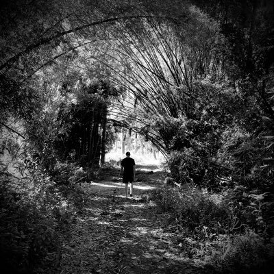 KevinGeerdink's profile picture. 